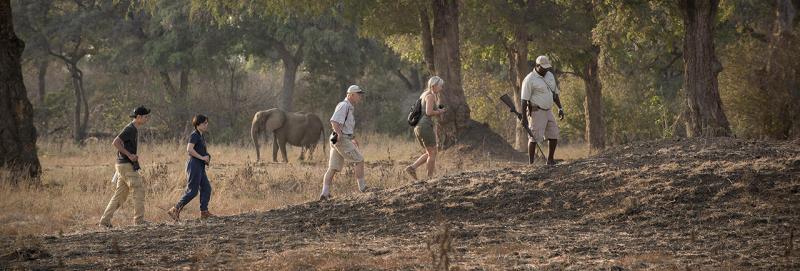 Zambezi Expeditions, Mana Pools - www.africansafaris.travel