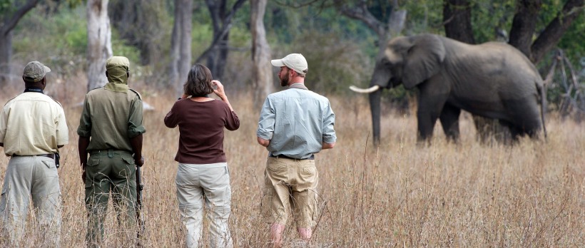 Zungulila Bush Camp (South Luangwa National Park) Zambia - www.africansafaris.travel