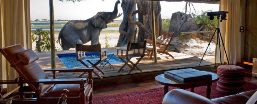 Zarafa Camp (Selinda Reserve) Botswana - www.africansafaris.travel - Zarafa Camp - Pic by Dana Allen