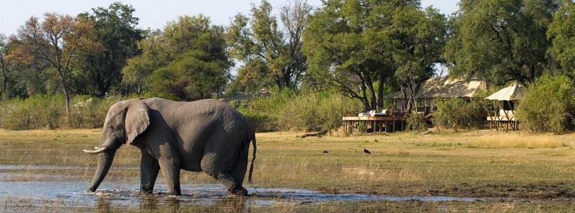 Zarafa Camp (Selinda Reserve) Botswana - www.africansafaris.travel