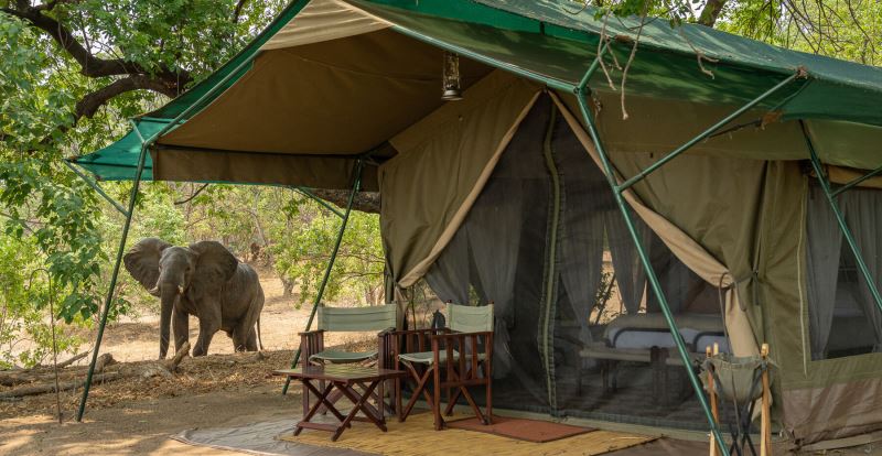 Johns Camp, Mana Pools