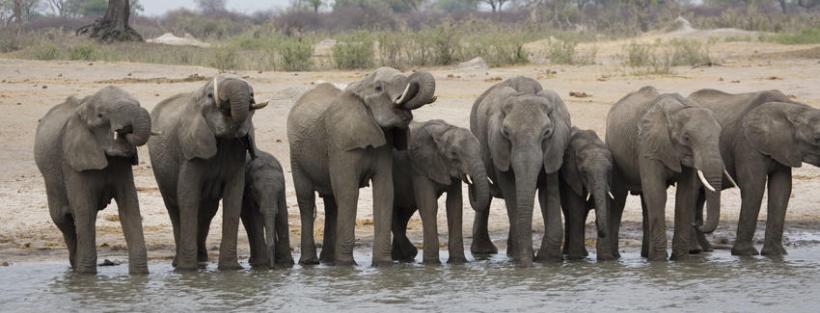 The Hide Safari Camp (Hwange National Park) Zimbabwe - www.africansafaris.travel